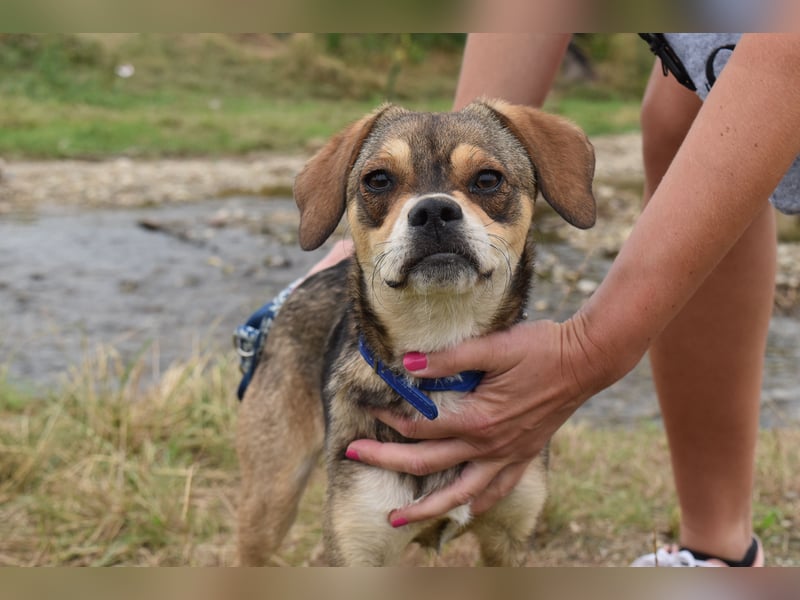 Liebenswerte Kaia sucht ihre Familie