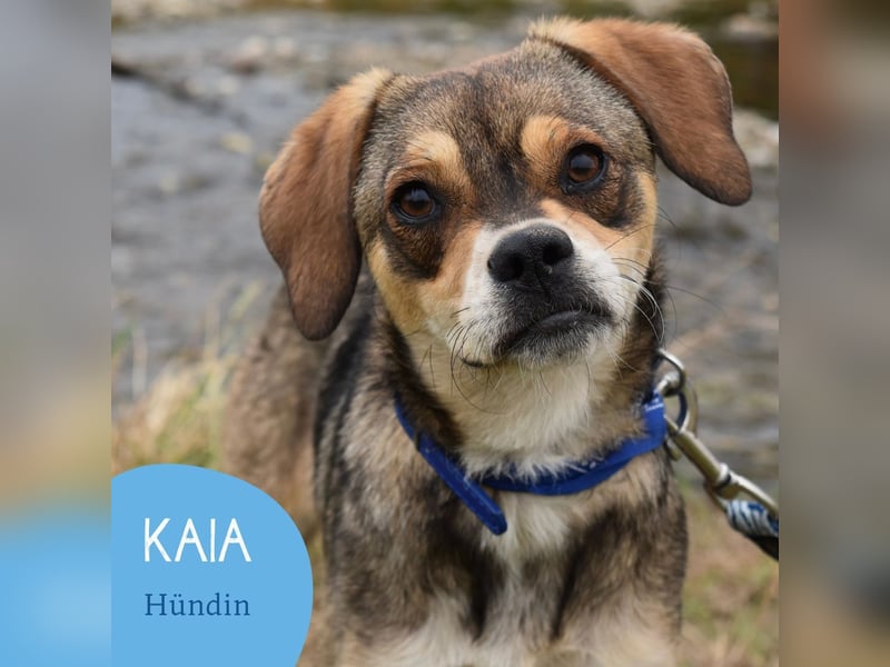 Liebenswerte Kaia sucht ihre Familie