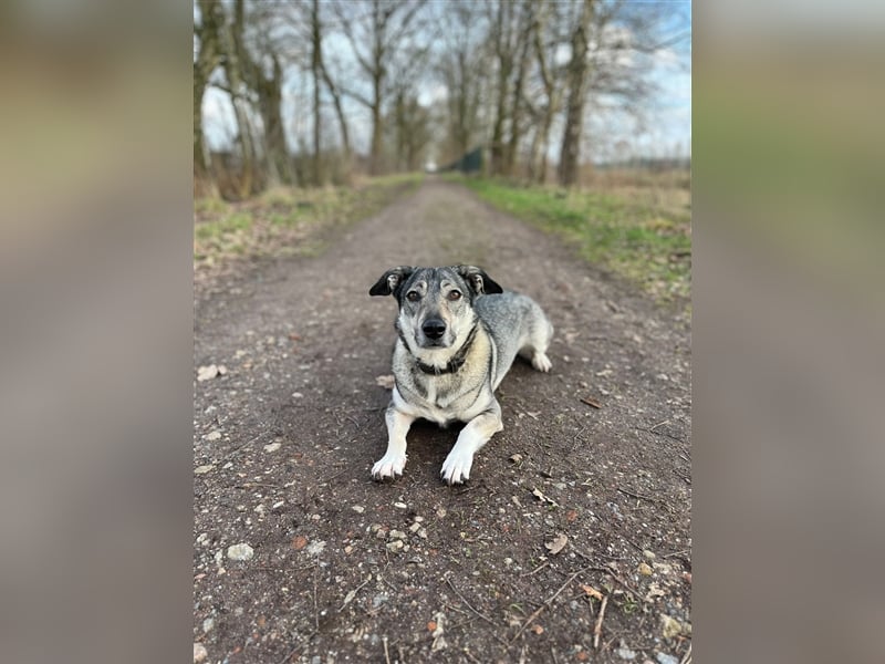 Kleine Svea sucht neues Zuhause