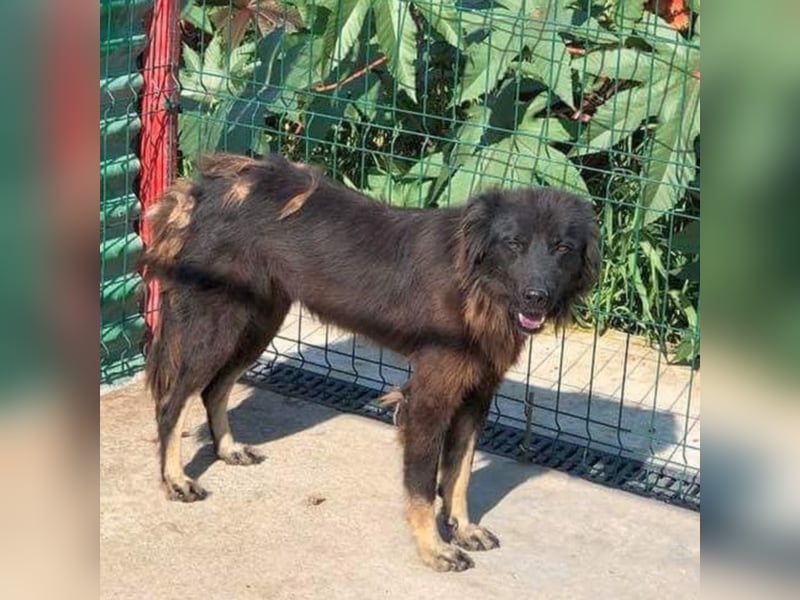 Gina sucht ihre Familie