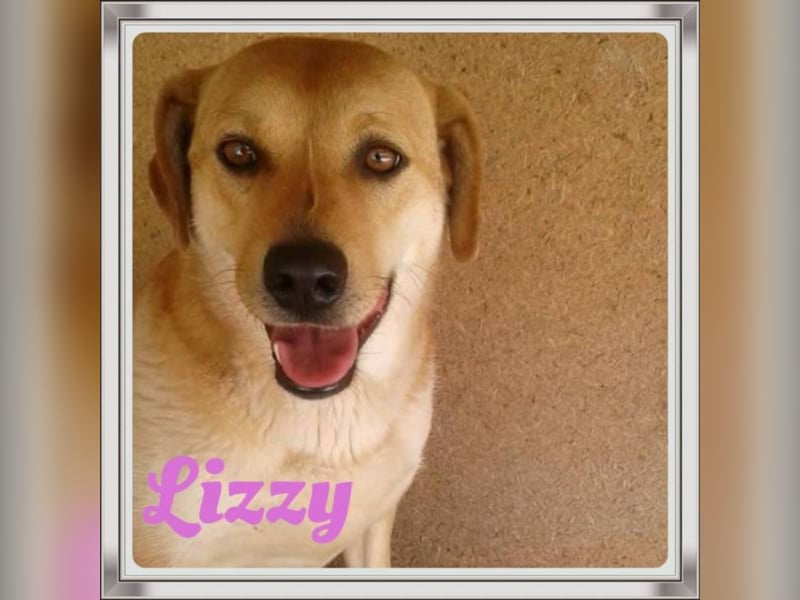Lizzy