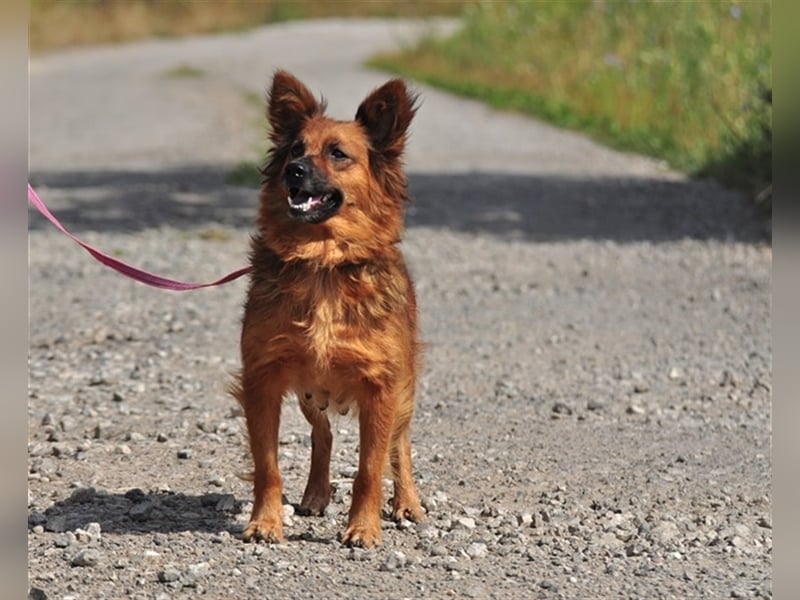 Betty Y133 hat ein sensibles und eher ruhiges Wesen