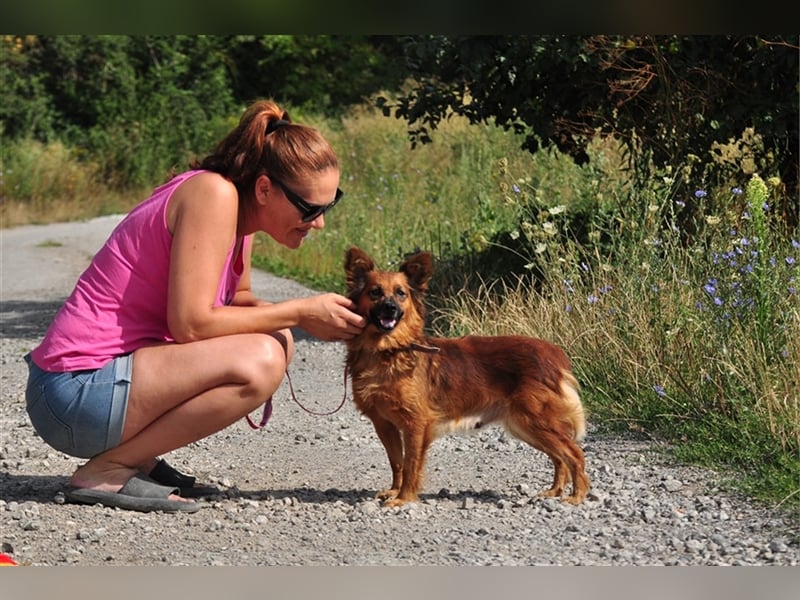 Betty Y133 hat ein sensibles und eher ruhiges Wesen