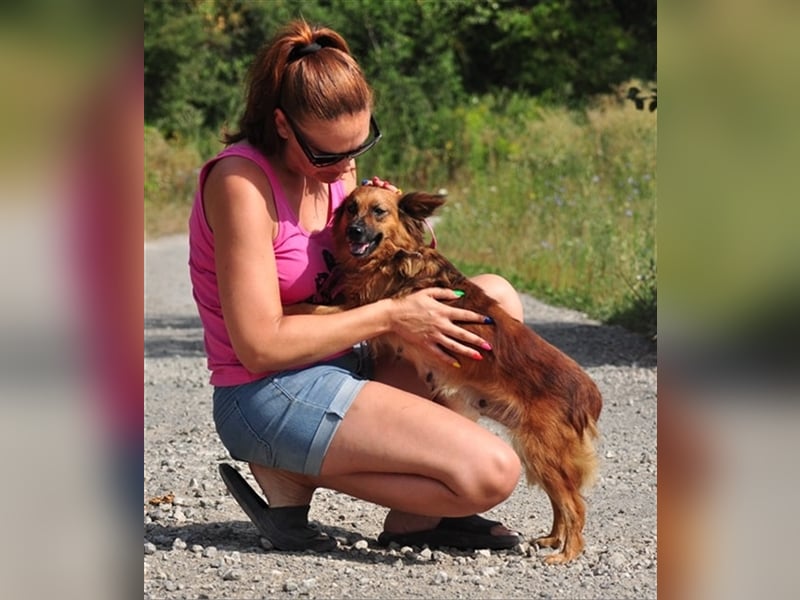 Betty Y133 hat ein sensibles und eher ruhiges Wesen
