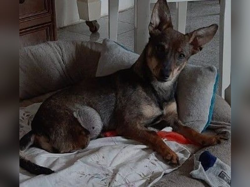 Zauberhafte Kara sucht ihre Familie