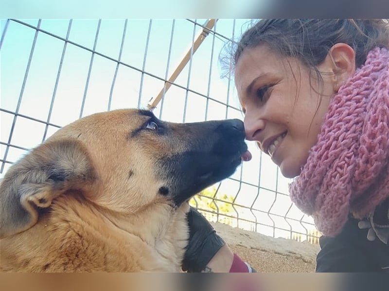 Notfell Esmeralda – wer lässt ihre Seele heilen?