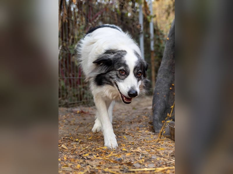 hübsche, lernwillige BELLA sucht ihr Happy End