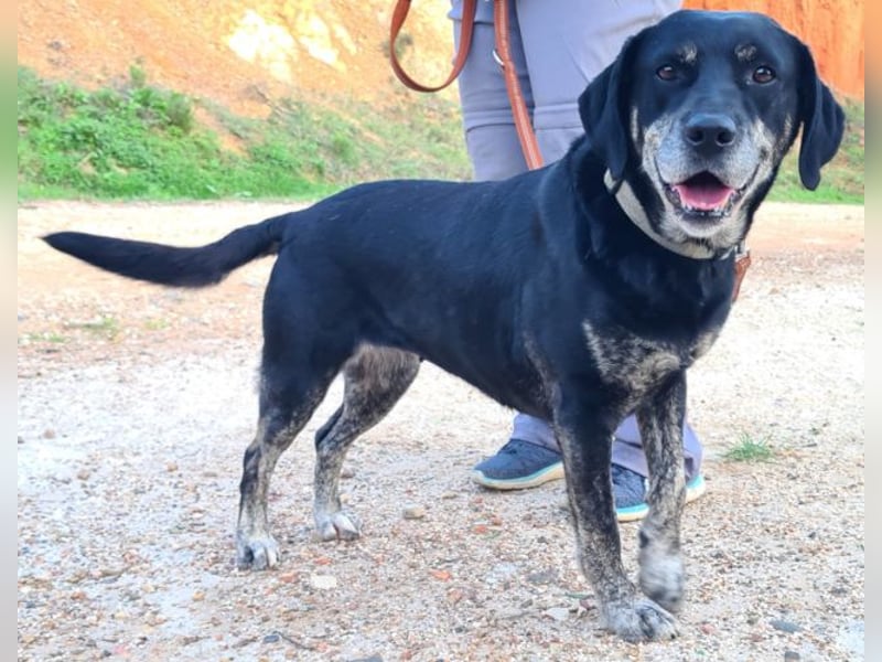 Storme eine tolle Freundin