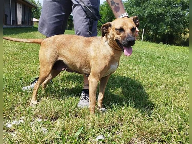 Süße Zoe sollte bald in ein liebevolles Zuhause ziehen können !