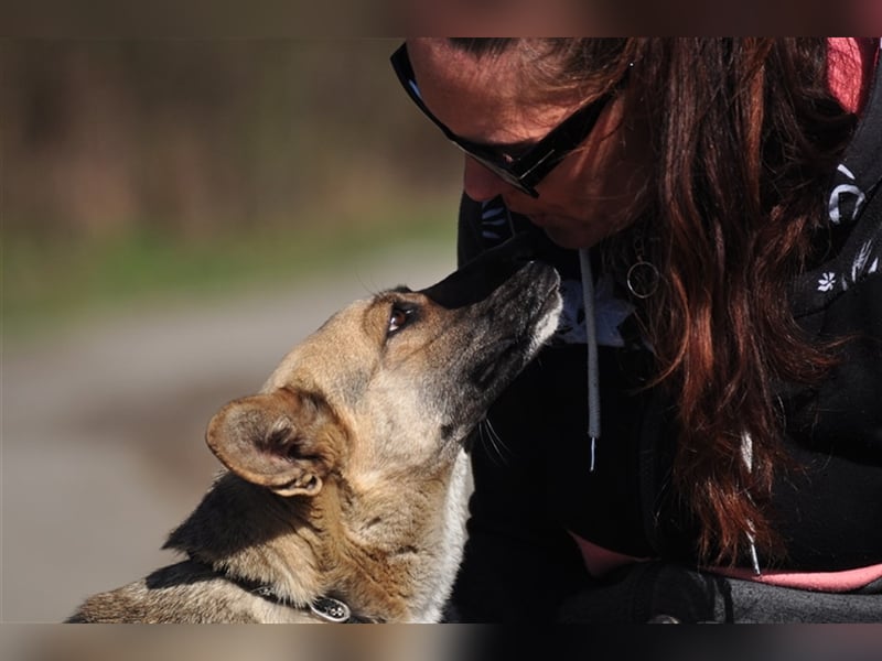 Doris ist ein sanfte, freundliche Seele
