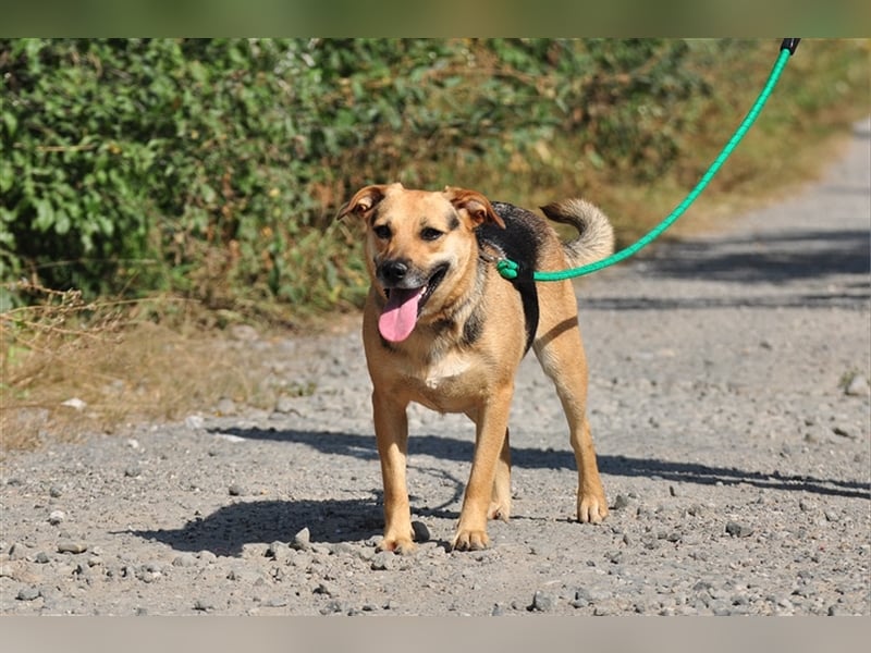 Nala S181 ist mit jedem sofort befreundet