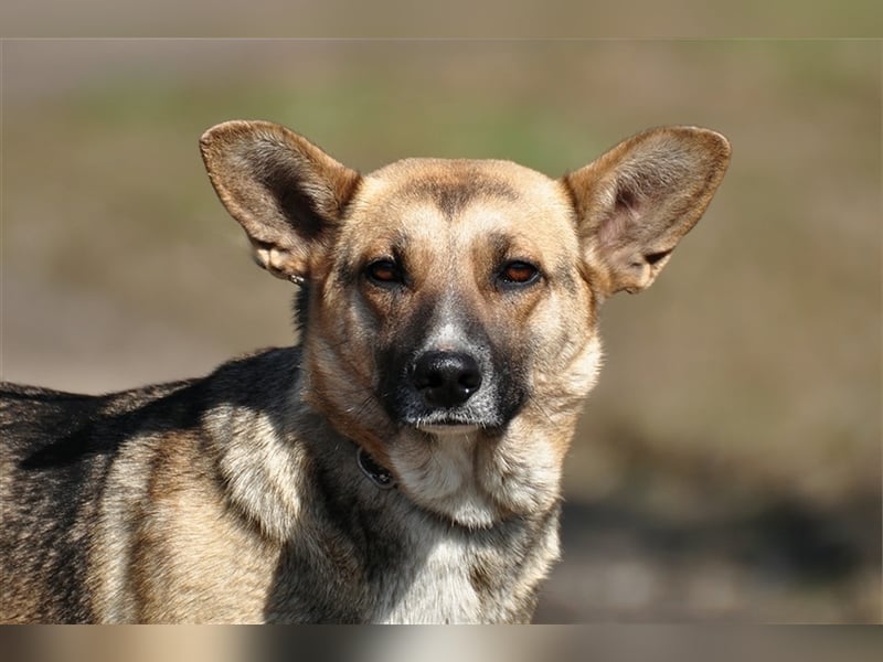 Doris ist ein sanfte, freundliche Seele