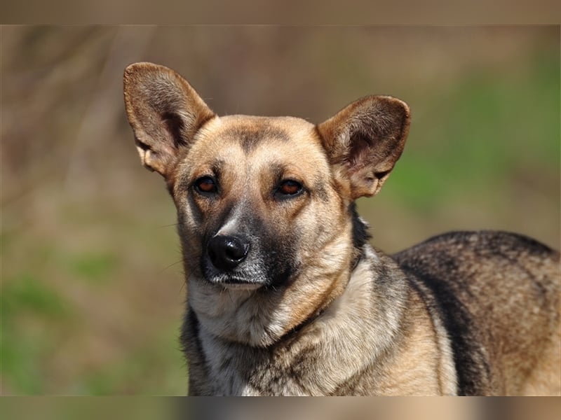 Doris ist ein sanfte, freundliche Seele