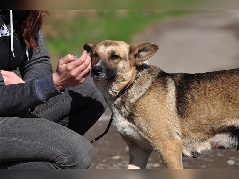 Doris ist ein sanfte, freundliche Seele