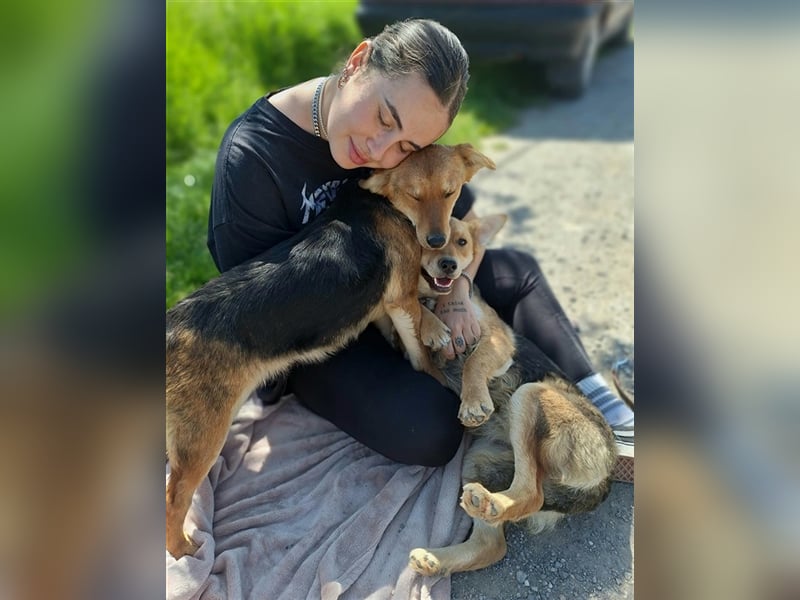 Margaretka liebt menschliche Zuwendung