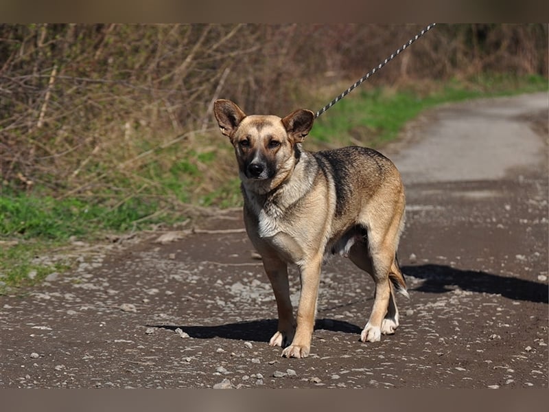 Doris ist ein sanfte, freundliche Seele