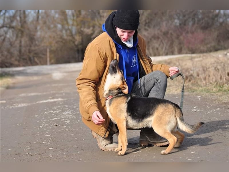 Nala S181 ist mit jedem sofort befreundet
