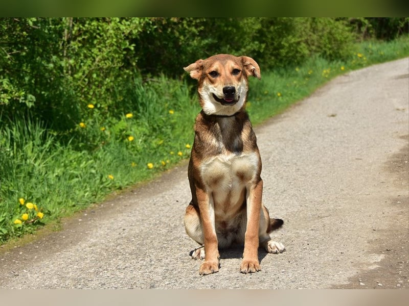 Bara schließt ihre Menschen schnell ins Herz