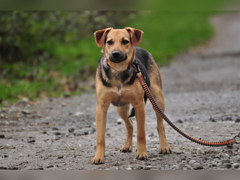 Nala S181 ist mit jedem sofort befreundet