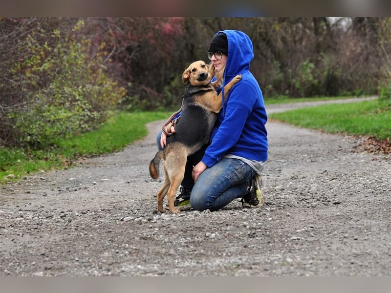 Nala S181 ist mit jedem sofort befreundet