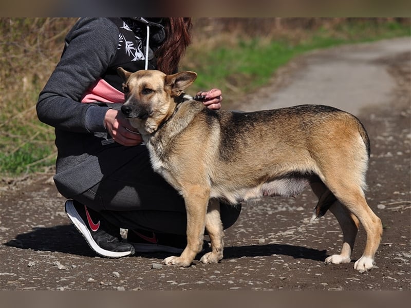 Doris ist ein sanfte, freundliche Seele