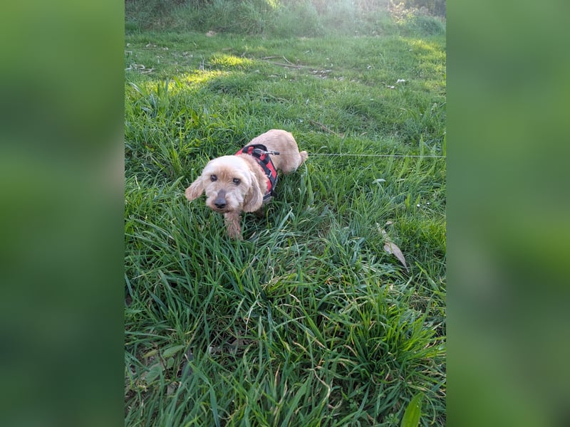 Tula