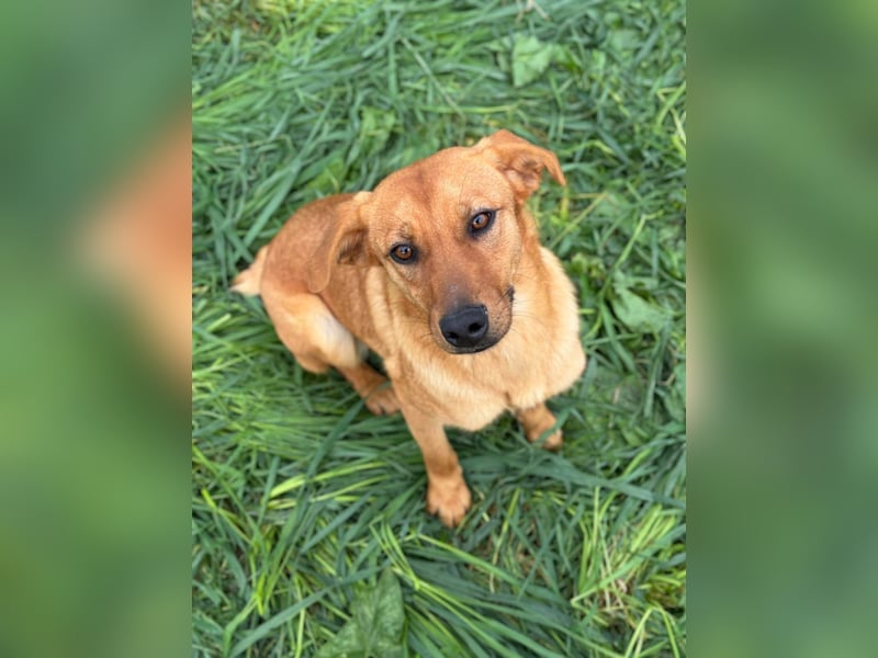 Margot "Darf ich bei Ihnen einziehen?"