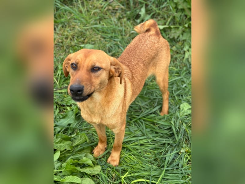 Margot "Darf ich bei Ihnen einziehen?"