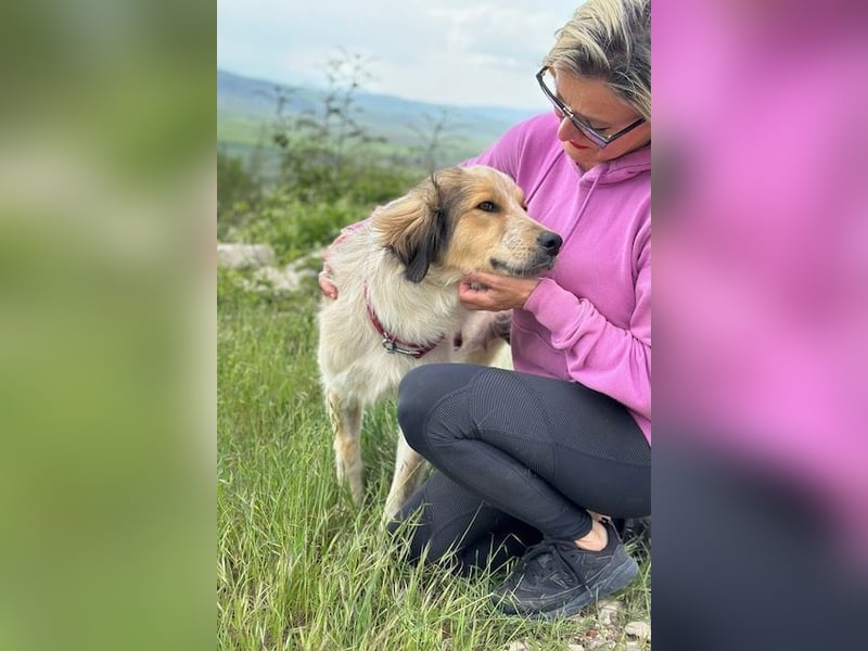 Miss Lotti - deine neue beste Freundin