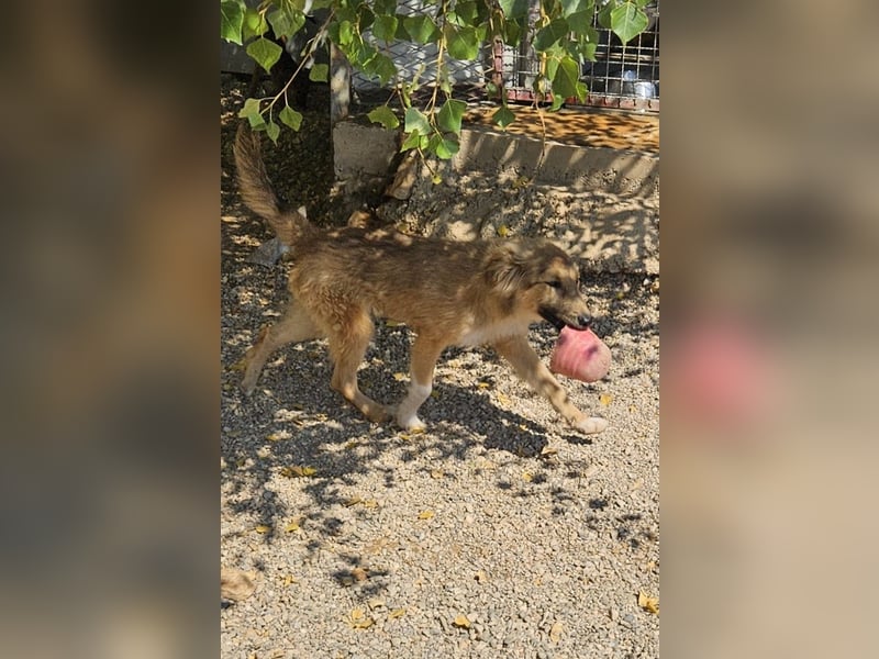 Malvine – kleine Träumerin mit großen Plänen