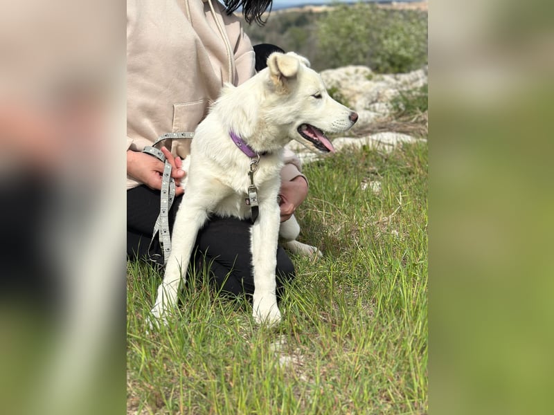 Giulia – auf der Suche nach einem Platz zum Ankommen