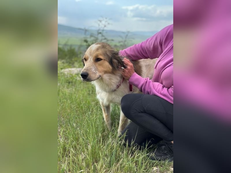 Miss Lotti - deine neue beste Freundin