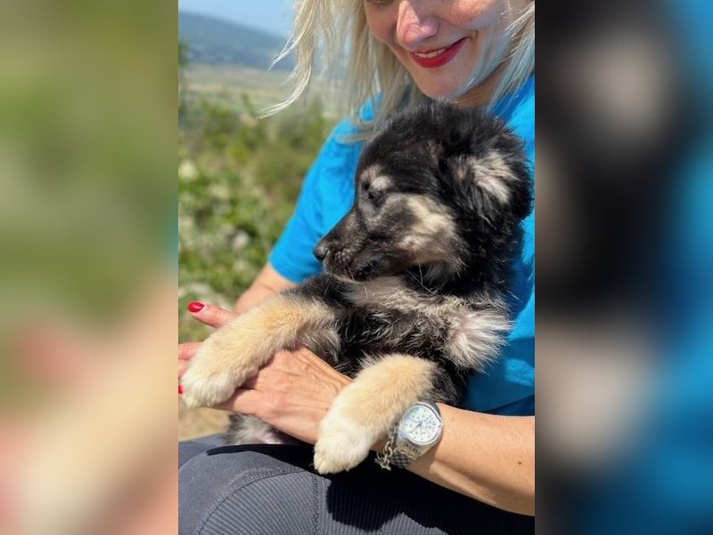 Lolly & Blue – Schwester und Bruder suchen ihr Glück