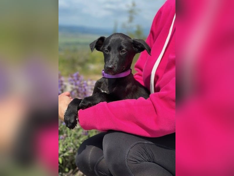 Trudi – eine Freudin fürs Leben