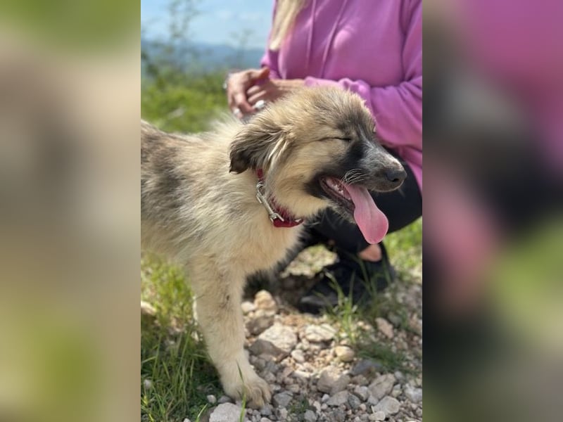 Liesa sucht ihr großes Glück