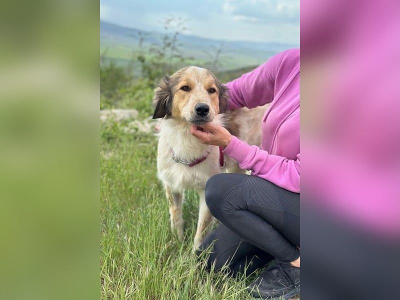 Miss Lotti - deine neue beste Freundin