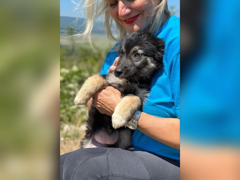 Lolly & Blue – Schwester und Bruder suchen ihr Glück