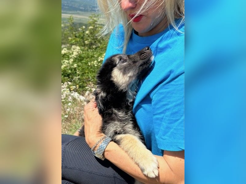 Lolly & Blue – Schwester und Bruder suchen ihr Glück