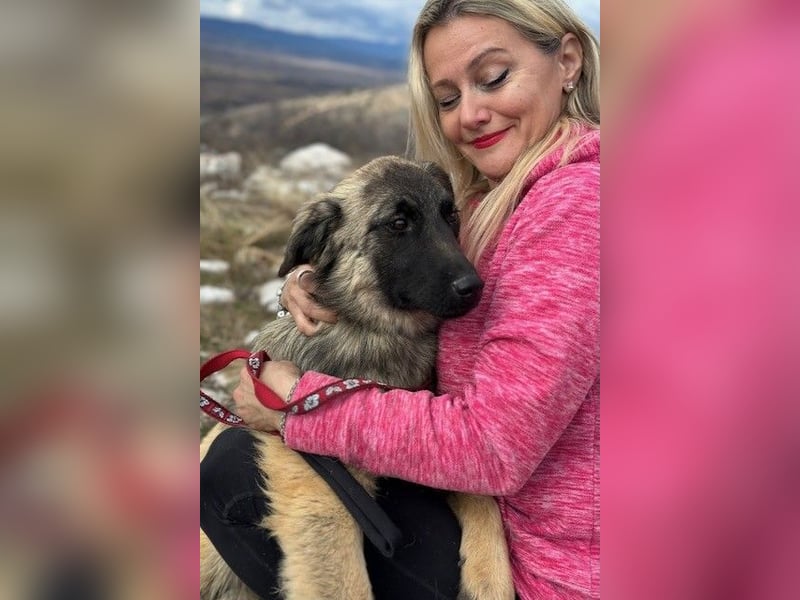 Bridget sucht das Glück