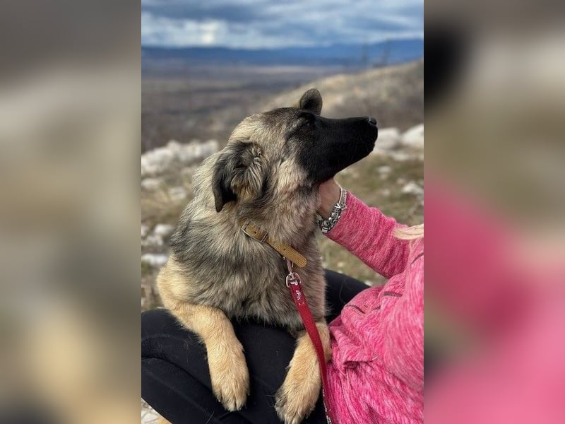 Bridget sucht das Glück