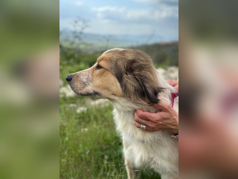 Miss Lotti - deine neue beste Freundin
