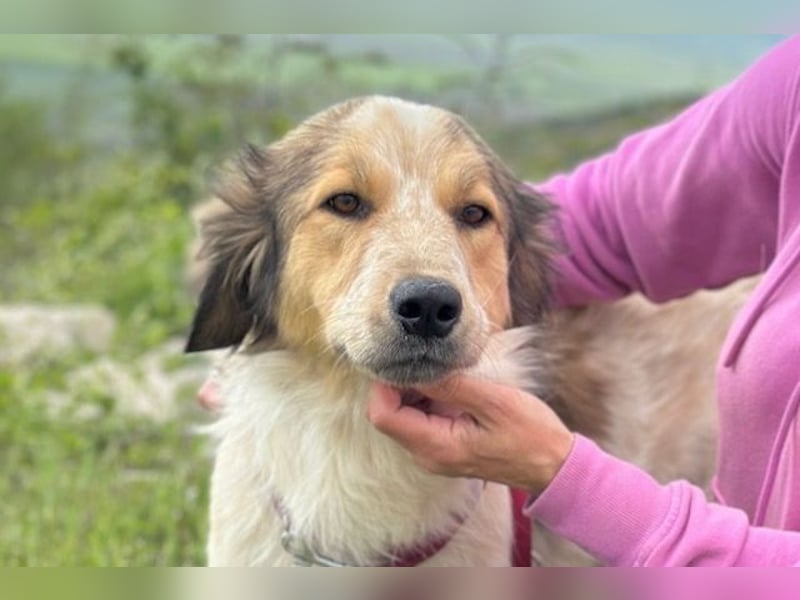Miss Lotti - deine neue beste Freundin