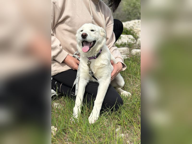 Giulia – auf der Suche nach einem Platz zum Ankommen