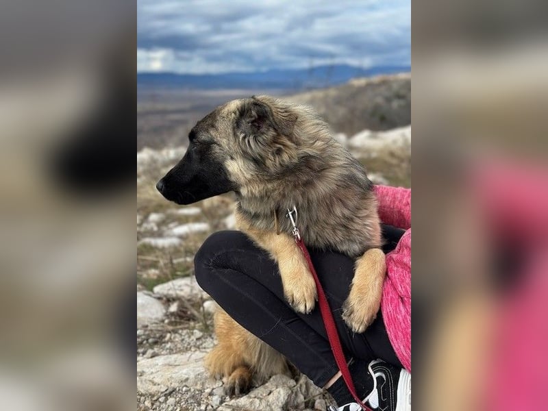 Bridget sucht das Glück