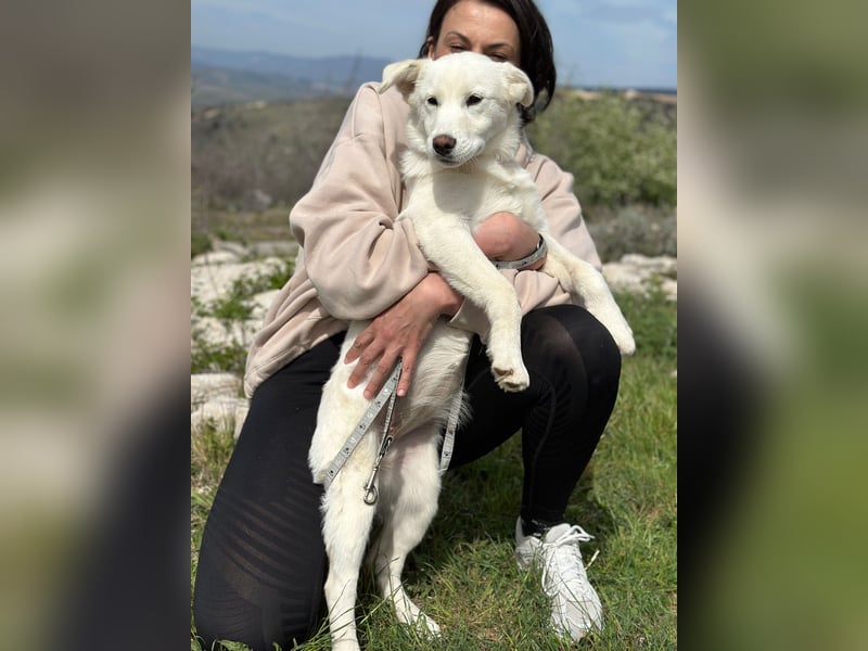 Giulia – auf der Suche nach einem Platz zum Ankommen