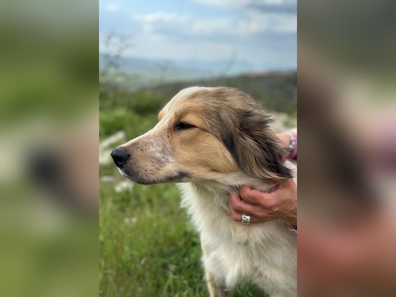 Miss Lotti - deine neue beste Freundin