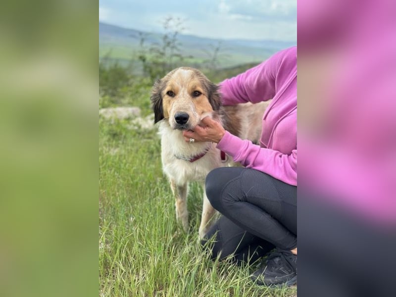 Miss Lotti - deine neue beste Freundin