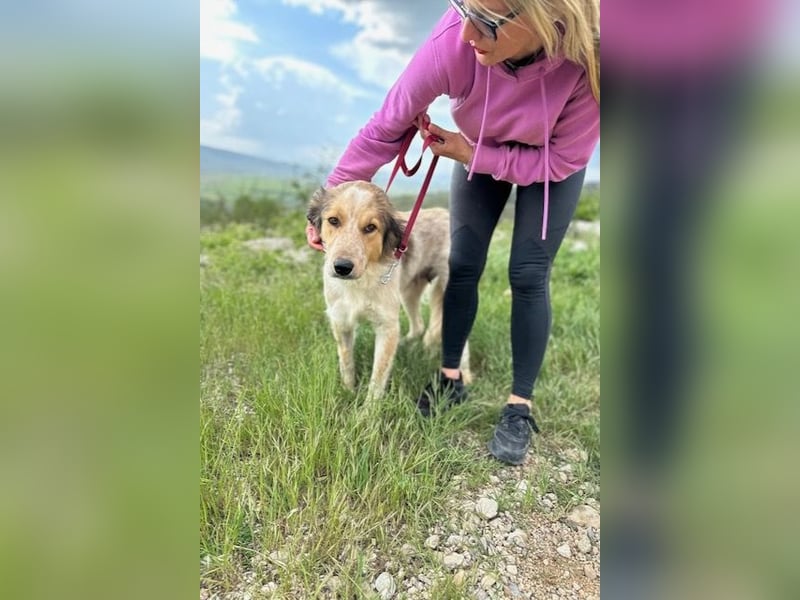 Miss Lotti - deine neue beste Freundin