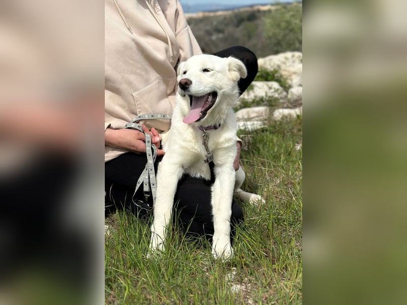 Giulia – auf der Suche nach einem Platz zum Ankommen