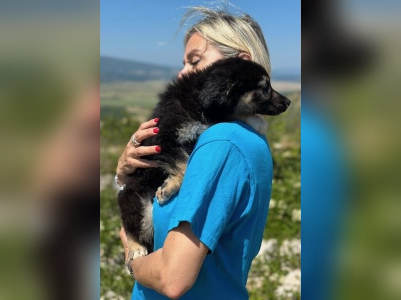 Lolly & Blue – Schwester und Bruder suchen ihr Glück